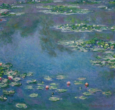 Water Lilies Fine Art Print